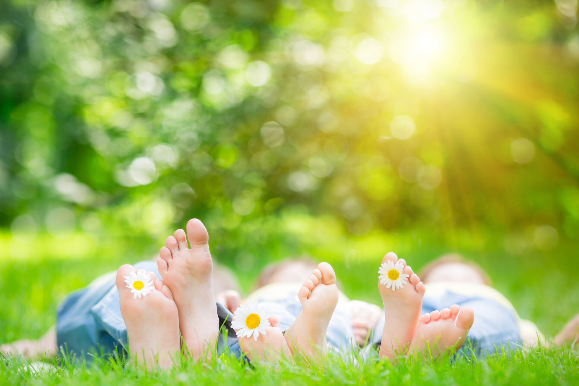AdobeStock_61465450